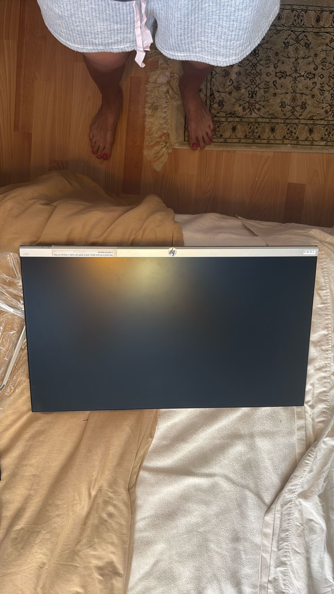 Computer Monitor HP