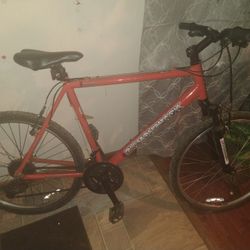 Sorrento Diamondback Xlarge 22" Orange