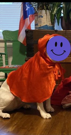 Little red riding hood dog cape