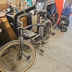 Old Schwinn Cruiser. 40 T0 50 Years