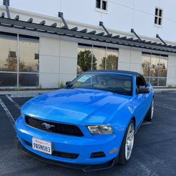 2010 FORD Mustang Clean