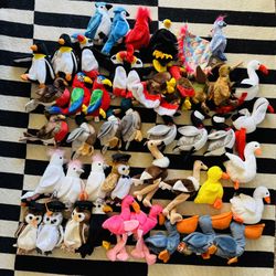 Beanie Baby Bird Collection