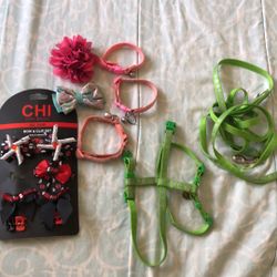 Pet Accessories 