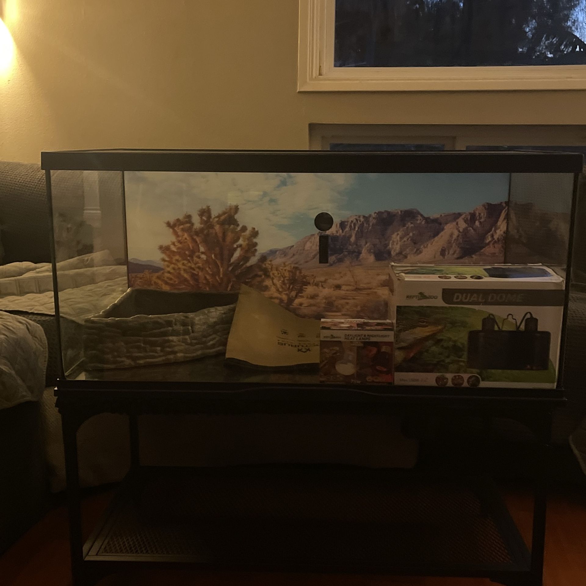 Bearded dragon Enclosure With Heat Lamp, Lights And Bathtub
