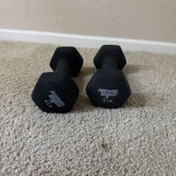 8lb Weights