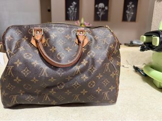 Louis Vuitton speedy 30