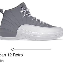 Jordan Stealth 12s Size 8.5