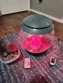 Biorb Fish Aquarium and Accessories