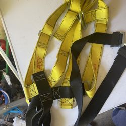 Harness 
