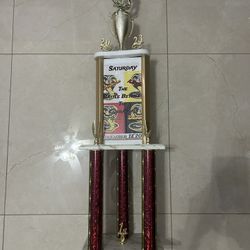 Karate trophy