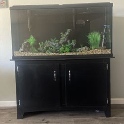 60 gallon aquarium, fish tank$160 there is no scratches  No Leak 