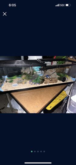 Terrarium / Lizard Tank