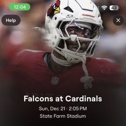 12/21 Arizona Cardinals Vs Atlanta Falcons Game