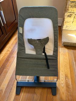 Baby Delight Bouncer Chair
