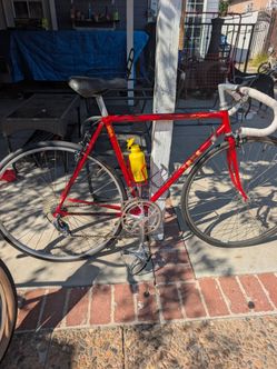 Bikes in cycle