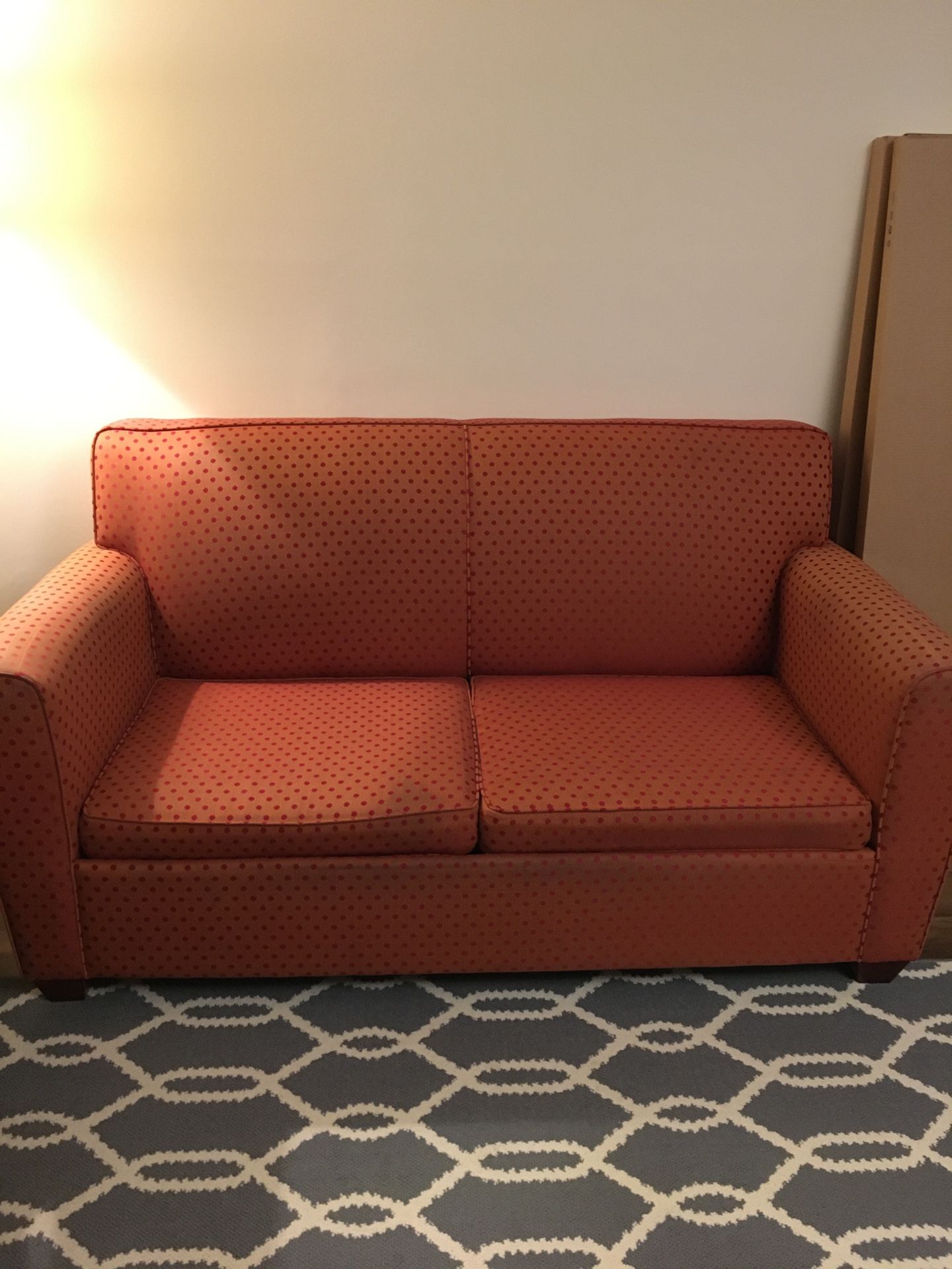 Sleeper Sofa