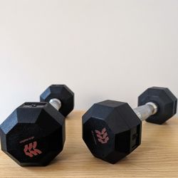 5 lbs Dumbbells (Set of 2)