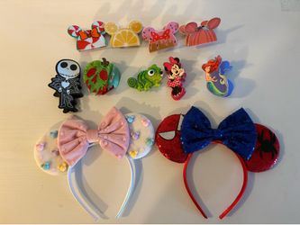 Disney Head/Hair Wear