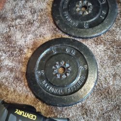 A Pair 25 Lb Weights