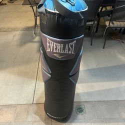 Everlast Powershot Heavy Punching Bag