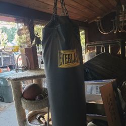 150 Pound Punching Bag Everlast