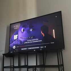 50 Inch Roku Tv