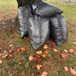 Free Bags Of Leaves 