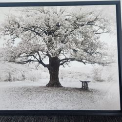 Large Framed Black & White Tree Wall Art