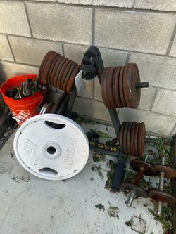 these weights