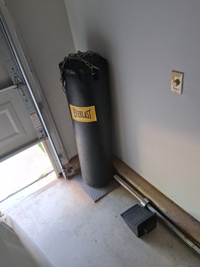 Punching Bag Everlast