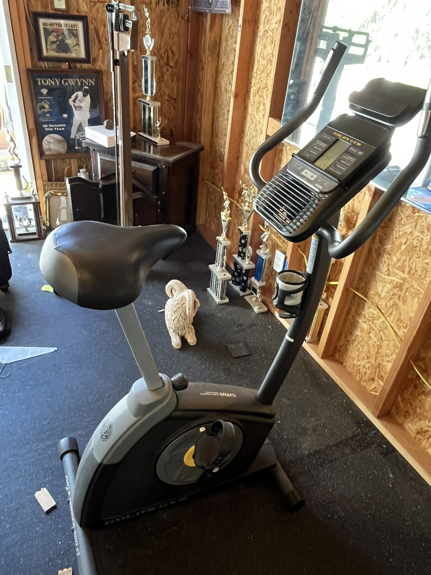 Golds Gym Gold's Gym Cycle Trainer Upright Exercise Bike