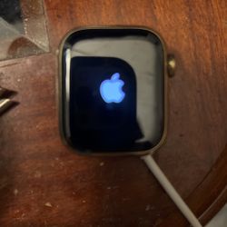 Apple Watch Series 7 41MM SS