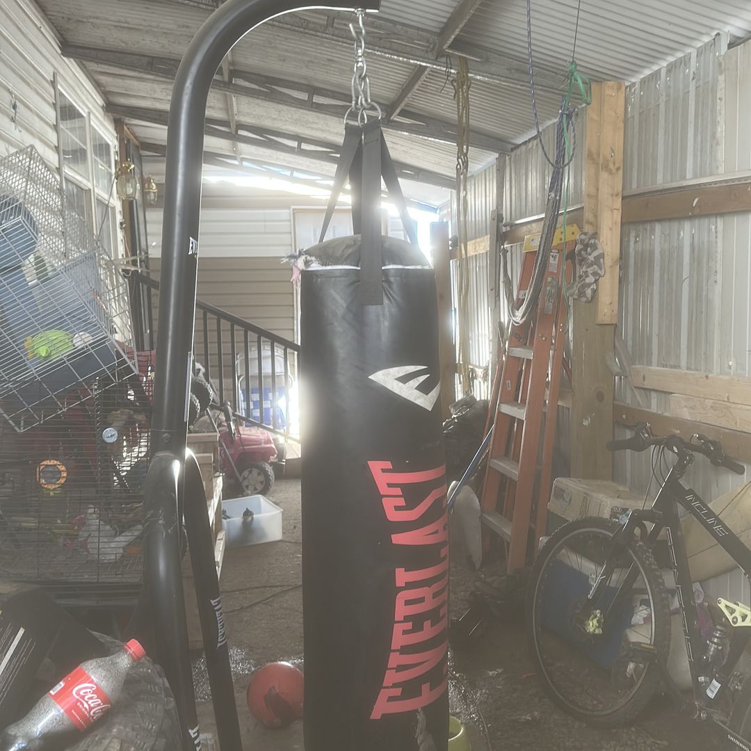 Punching bag and stand
