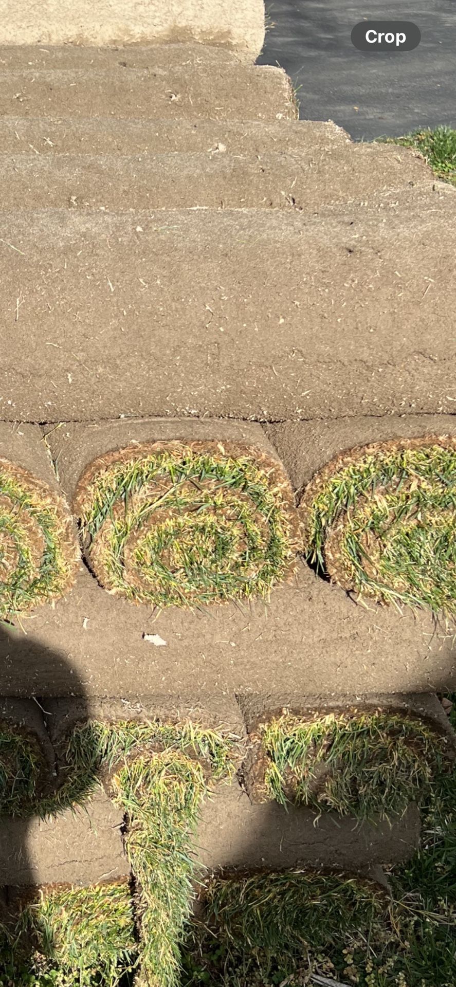 Sod Installation