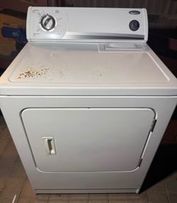 Dryer White Electric ⚡️
