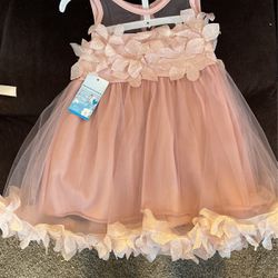Girls Mauve Colored Dress With NetAnd Lace With Feather Like Flowers,  Size 2, NWT