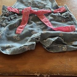 My destiny baby girl overall 24 months