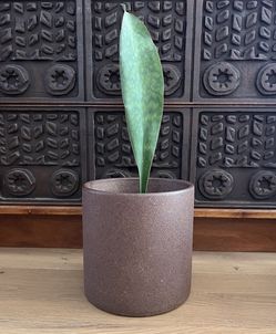 Baby Cressey Cylinder David Cressey & LaGardo Tackett Architectural Pottery Ceramic Planter Pot MCM