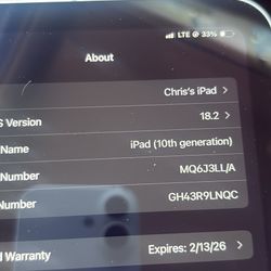 Apple iPad 