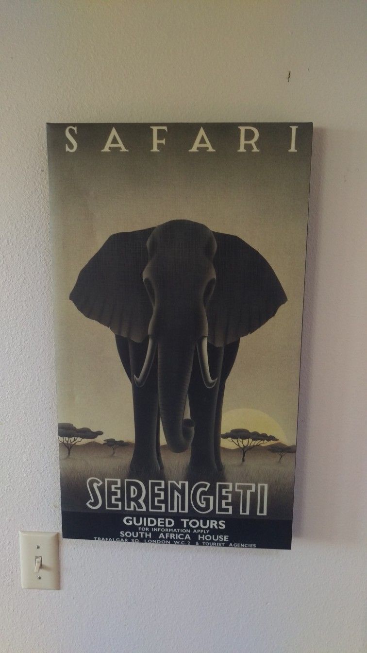 Very cool elephant Safari Serengeti Poster Print