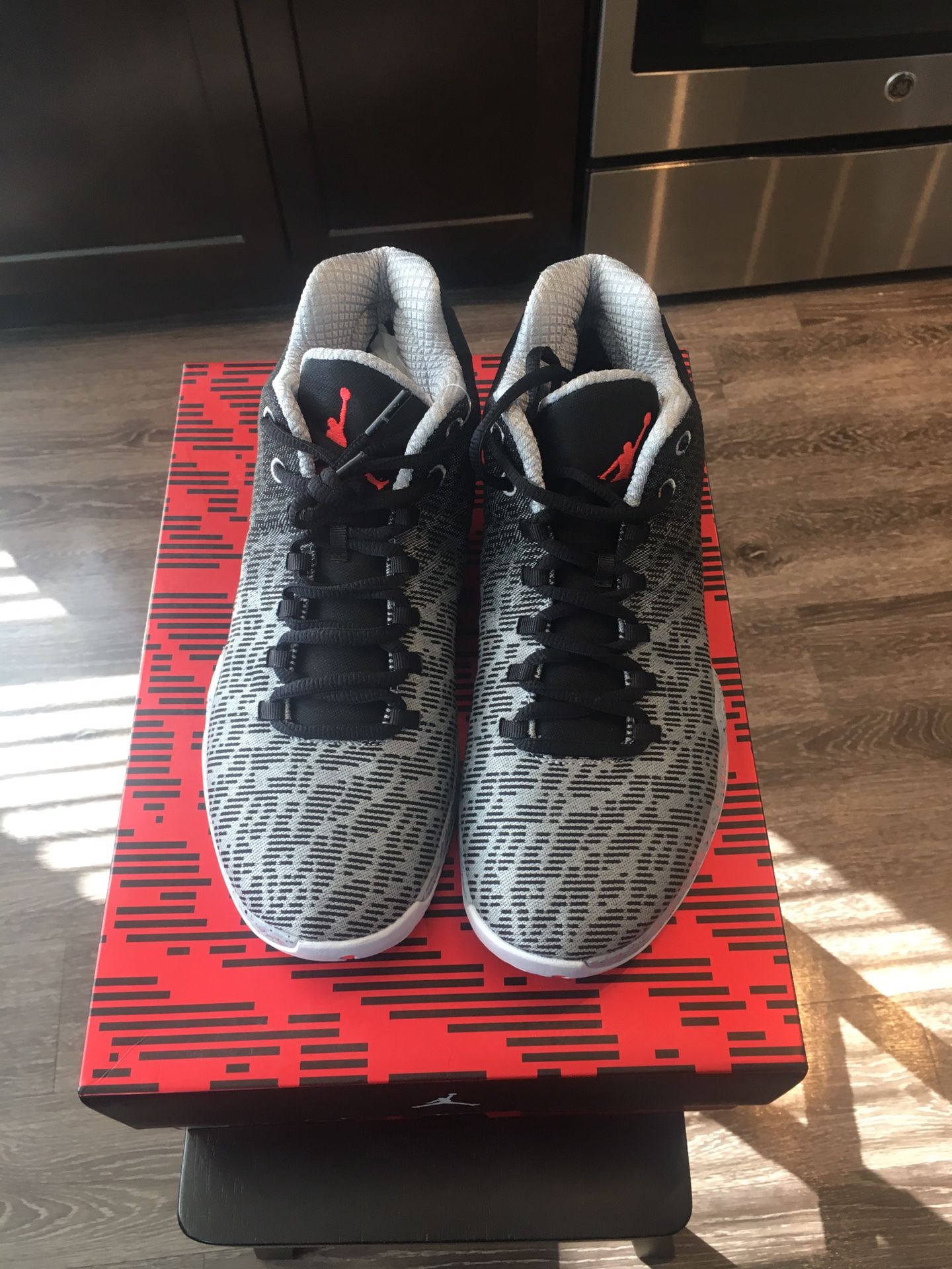 Air Jordan XX9 LOW (size 11)