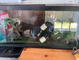 Tank for reptiles bundle