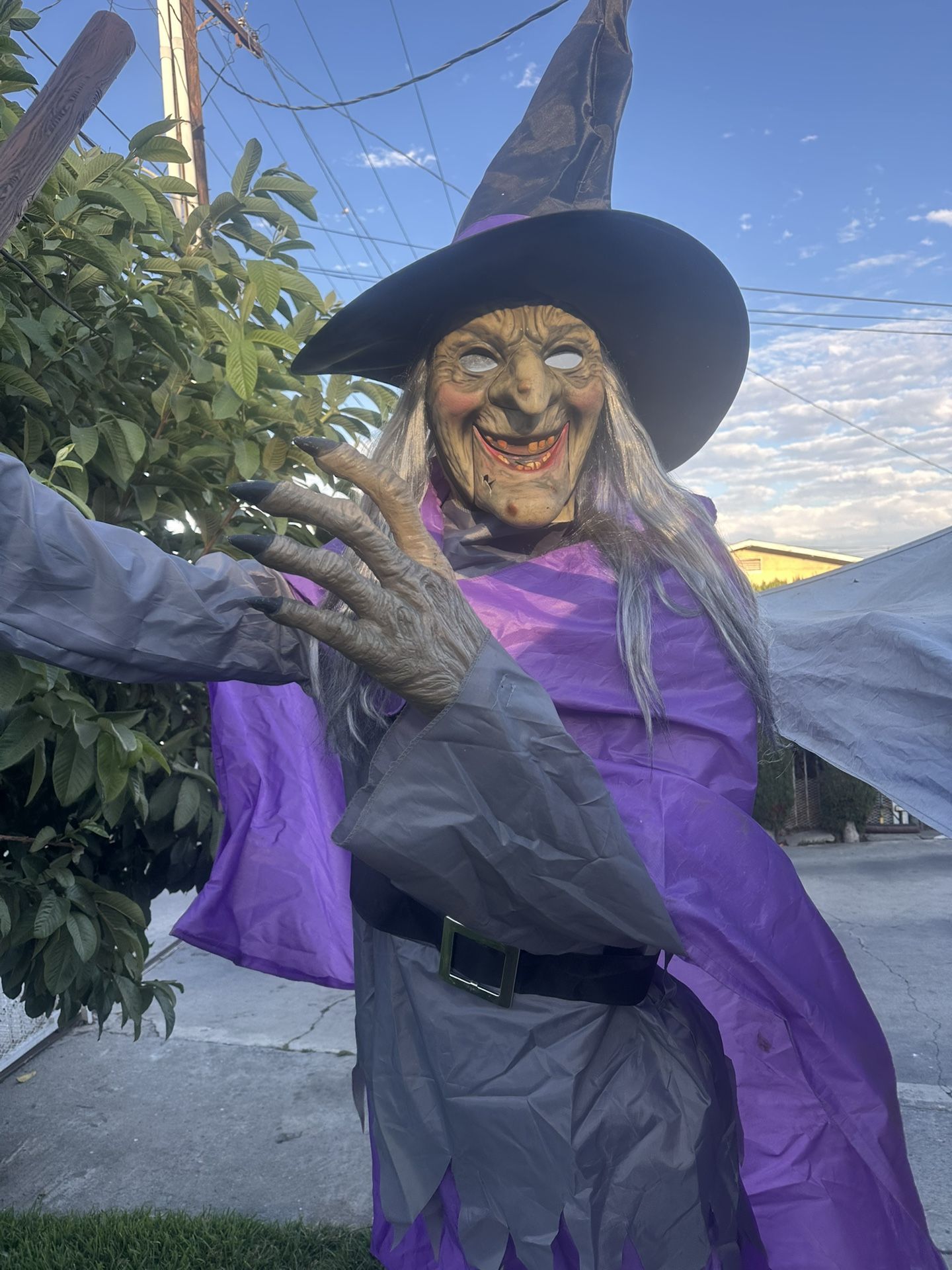 Home Depot Moonlight 12ft Hovering Witch Animatronic