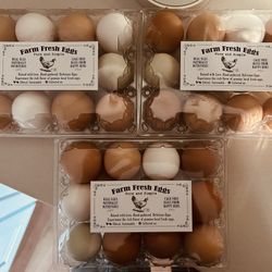 Organic Free Range Eggs