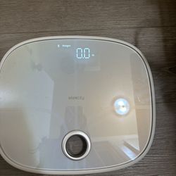 Elekcity Scale