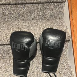 Everlast Boxing Gloves 16 Oz