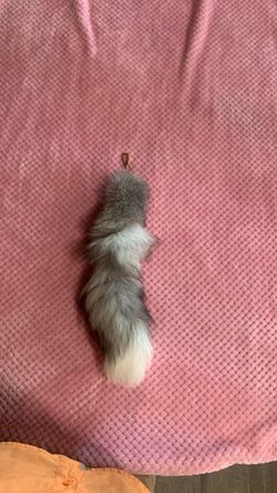 Gray and white tail