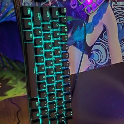 Steel Series Pro Mini