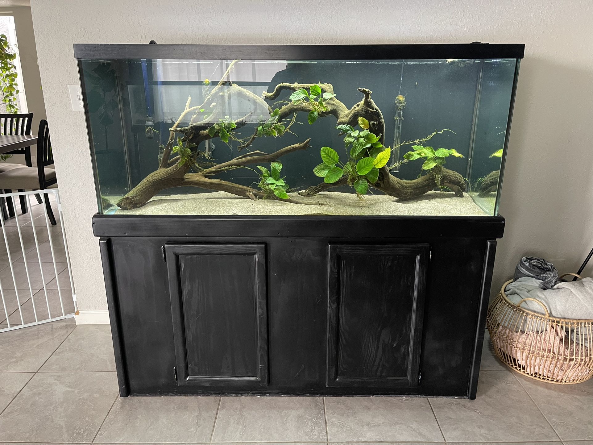125 Gallon Fish Tank and Stand (Read Description)