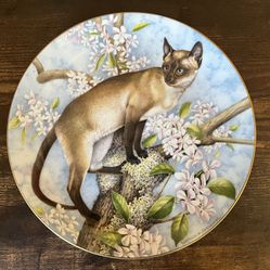Royal Stafford, Bone China Collector Plate